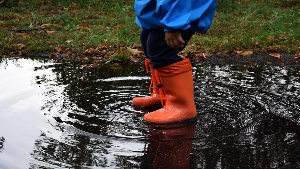 Botas de lluvia